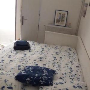 Chambre chez l'habitante avec salle de bain et cuisine communes - Présence d'un chat