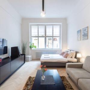 Luxury Apartment on Old Town Square