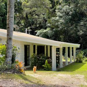 Botanica House Kuranda