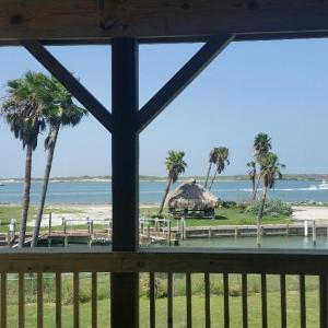 Bay Tree D1