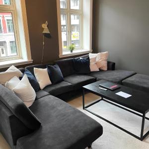 4 bedroom flat in the heart of Oslo