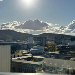 F15th 1BR City Apt-Parking&View& Homey