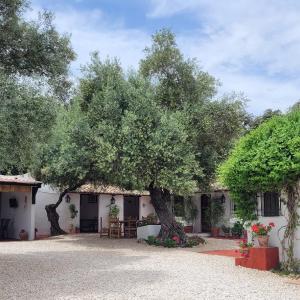 Casa Abanto
