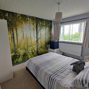 Dan's House