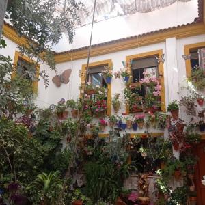 PATIO POZANCO