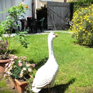 Appartamento con giardino a 5 minuti dal mare