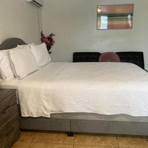 Cozy Studio - Apt 1 - Private Entrance