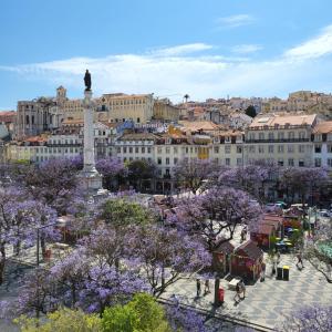 Liberator Rossio