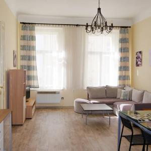 Nice big apartment in the city center
