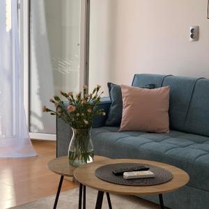 Apartman Mare Blace