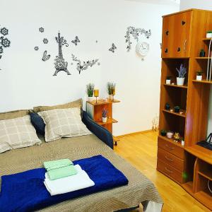 Casa Andu Piata Alba Iulia