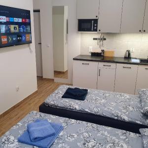 Apartamenty u Portera w Śródmieściu