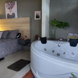 Loft Shakespeare l Private Jacuzzi l In Provenza