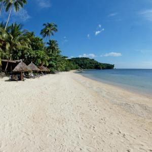 Easy Diving and Beach Resort