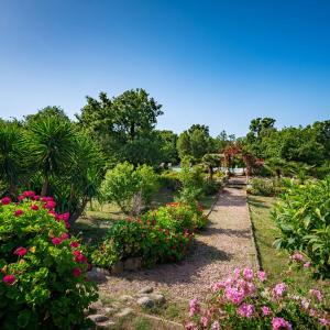 Villa Gelormini-2 by Interhome