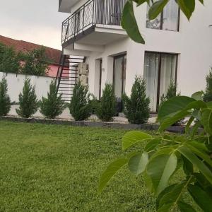 Accent Garden