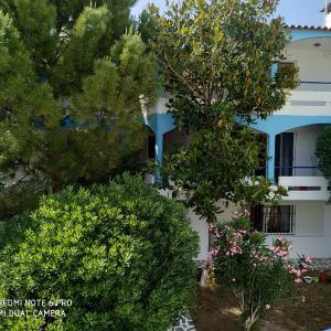 Muses apartments Eretria