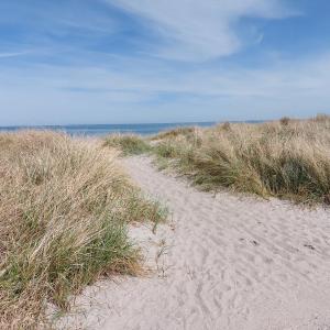 Ferienwohnung im Ostseebad Schönberg nahe Schönberger Strand Ostsee Self-Check-in