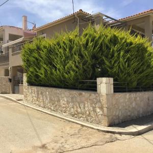 Angelo Apartment 4 karavomylos