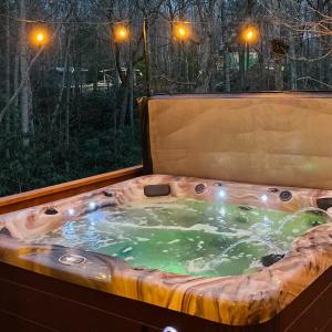 Lazy Bear-HotTub, Pet Friendly, Private home just 15 minutes to Asheville..