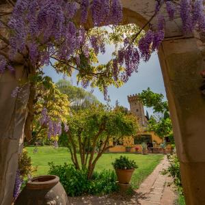 Charming cottage only for you, a hidden gem 10mn walk to historic center, stunning view