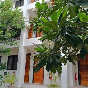 The Palines Apartment near Teresa Orsini, Brittany Palazzo, Evia Alabang