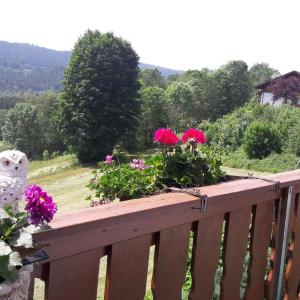 Ferienwohnung-Panoramablick-4