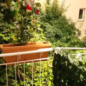 Athens Metro Grand Residence Spacious 3-Bedroom Stay