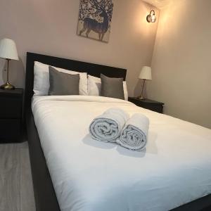 Guest&Rest 1