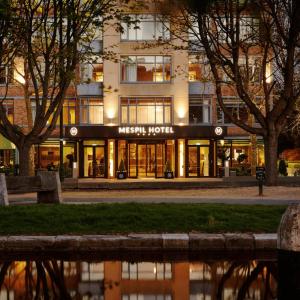 Mespil Hotel