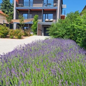 Profi Kecó Apartman