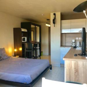 Studio 318, Port Vénus au village naturiste