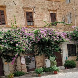 ATTICO SULLA BOUGANVILLE (Albergo diffuso)