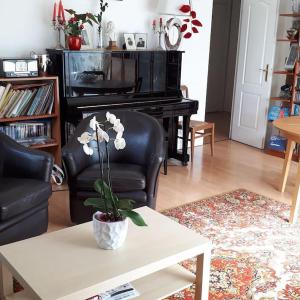 Appartement 65m2/2piéces/centre/parking privé