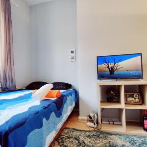 Central apartment in Helsinki
