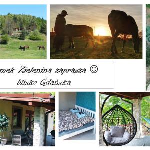 Domek Zielenina