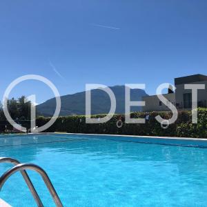 1Dest - Waterfall & Pool with Garden