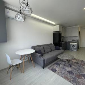 Vane 1