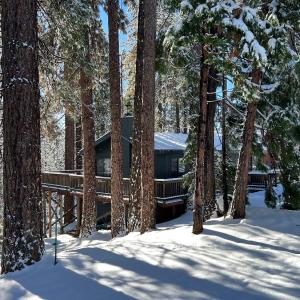 Sweet Arnold Cabin
