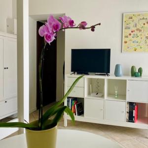 Milan Cozy Apartment Gambara - SanSiro