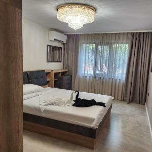 Top Apartment Sevi