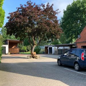 Holiday in der Lüneburger Heide