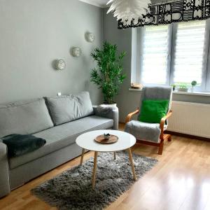 Apartament Joanna parter blisko Rynku, Onkologii, strefy ekonomicznej, parking bez opłat