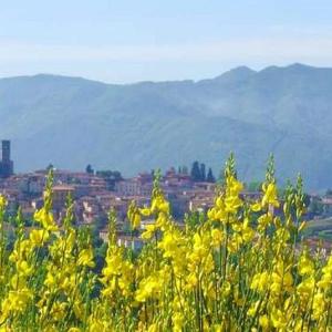 Villa Trivium