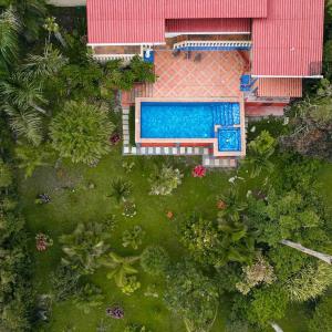 Hummingbird House Panama