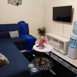 One bedroom apartments in south b