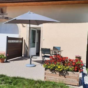 Charmant gîte en montagne, 3 étoiles, proche randonnées et Alsace, tout confort avec terrasse. - FR-1-589-391