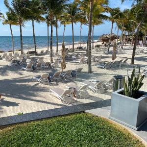 Christmas heaven in Garza Blanca Mexico