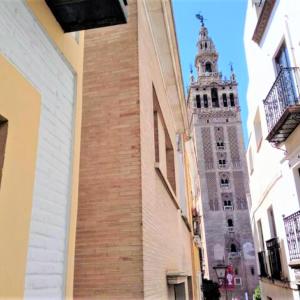 ¡EN FRENTE DE LA GIRALDA-CATEDRAL!