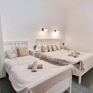 Finnem Rentals Florenc